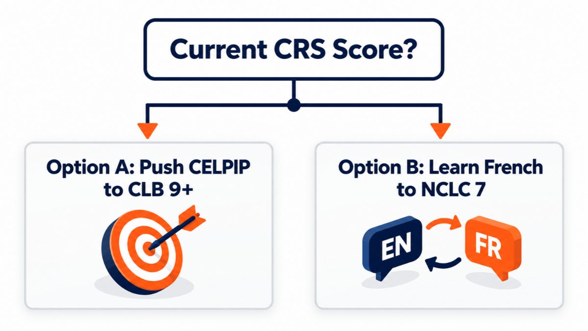 Decision tree: push CELPIP to CLB 9+ or learn French to NCLC 7 - VerbalHub